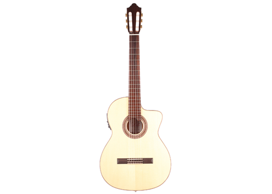 Duke - Konzert F Cut Pickup