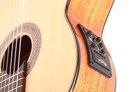 Duke - Konzert F Cut Pickup
