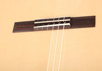 Duke - Meister F