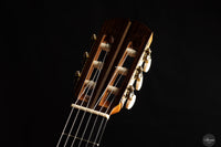Elvis Pajares - 2025 - Traditional No. 87 "La Joia" Spruce