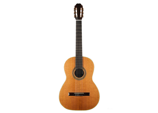 Mario Sicca - 2020 Cedar