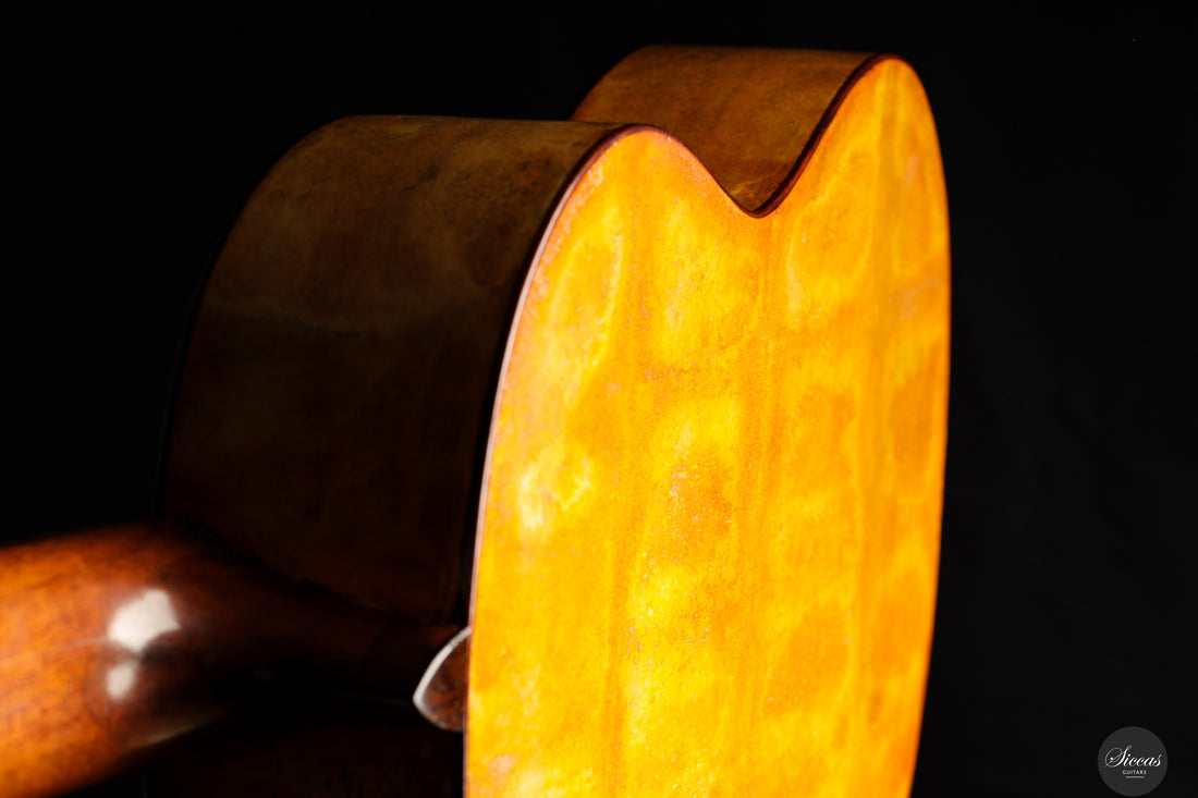 Fabio Zontini - 2023 No.299 Papier Maché