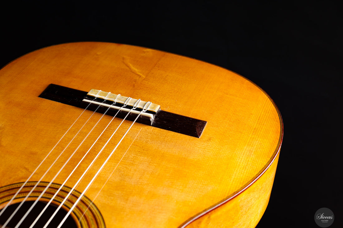 Fabio Zontini - 2023 No.299 Papier Maché