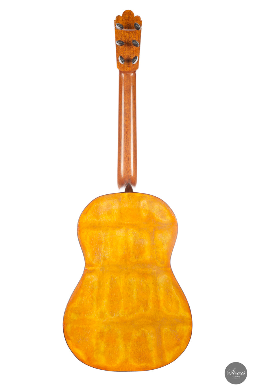 Fabio Zontini - 2023 No.299 Papier Maché