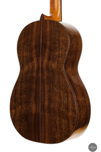 Fabio Zontini - 2024 REG 2024 Limited Edition 62cm