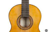 Fabio Zontini - 2024 REG 2024 Limited Edition 62cm