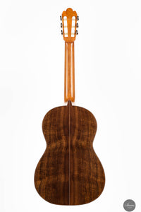 Fabio Zontini - 2024 REG 2024 Limited Edition 62cm