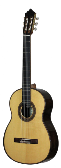 Roy Fankhänel – 2014 Special Edition