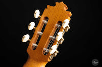Francisco Barba - 2022 Flamenco Maple