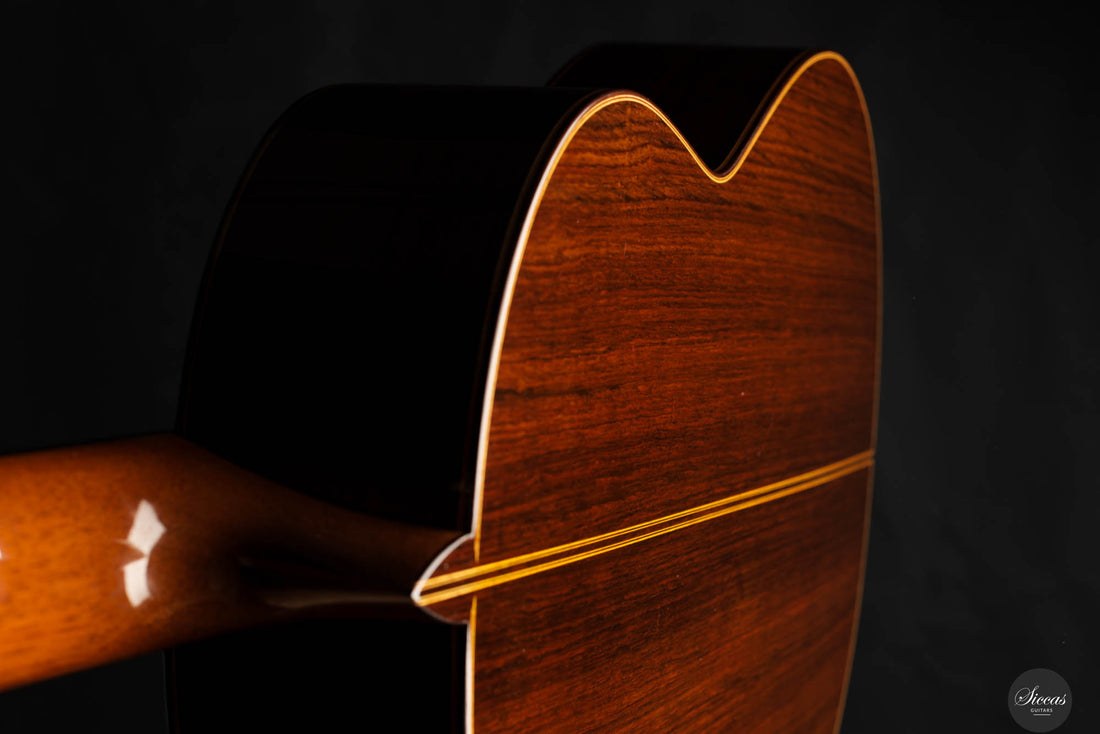 Francisco Barba - 2023 "Classical"
