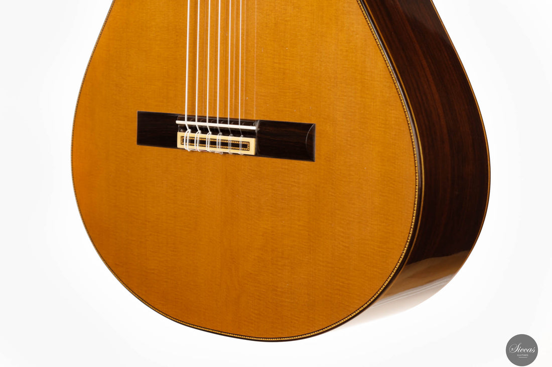 Francisco Barba - 2023 "Classical"