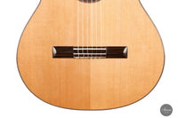 Francois Regis Leonard - 2023 Cedar 65 cm
