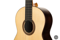 Francois Regis Leonard - 2023 Fichte 64 cm