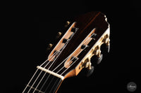 Francois Regis Leonard - 2023 Fichte 64 cm