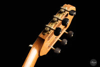 Francois Regis Leonard - 2023 Fichte 64 cm