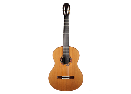 Olivier Planchon - 2020