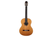 Olivier Planchon - 2020