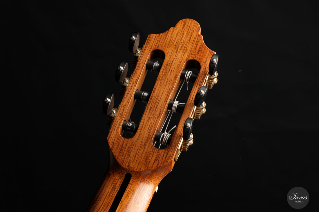 Friedemann Beck - 2023 Indian Rosewood
