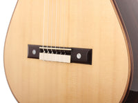 Gabriele Lodi - SE113 2016