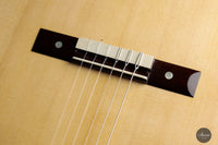 Gabriele Lodi - 2022 'My Torres Interpretation' No. 115