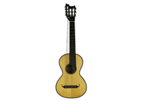 Gary Southwell Lacôte 10-string – 1984