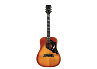 Gibson Dove - 1974