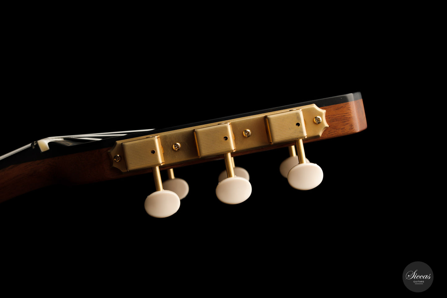 Altamira - Model M