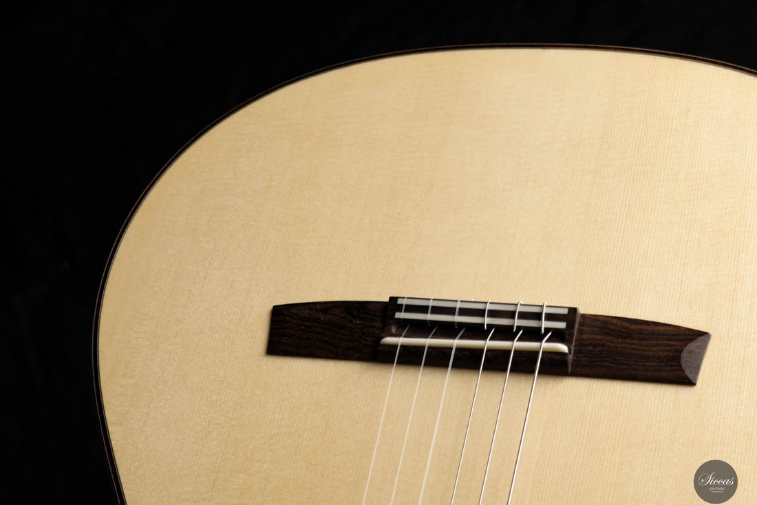 Armin Hanika - HE Torres Spruce