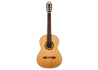 Armin Hanika - HE Doubletop Custom