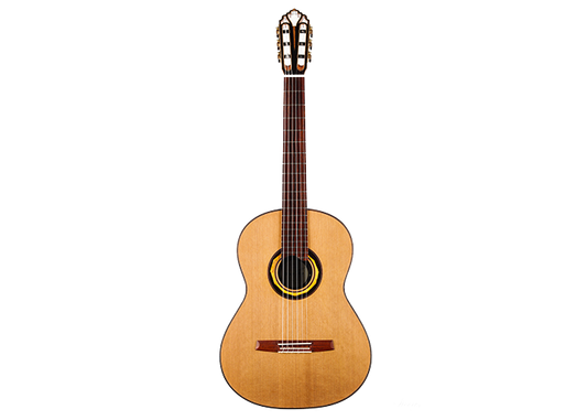 Armin Hanika - HE Custom Doubletop