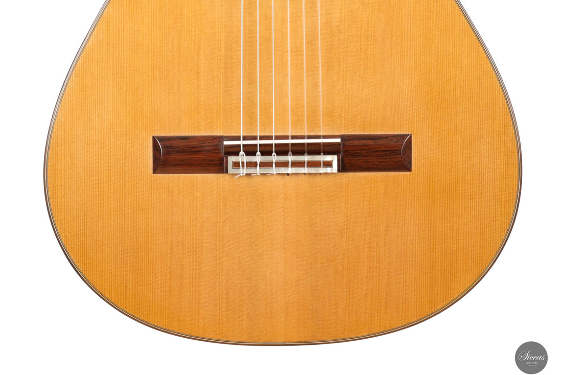 Hans Van Velzen - 1917 Garcia Cedar - 64 cm