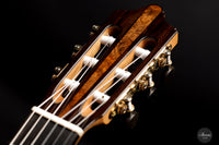 Hans van den Berg - 2021 Doubletop 64 cm