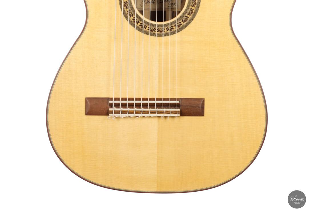 Heikki Rousu - 2025 No. 486 10-string