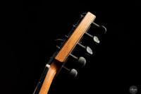 Heikki Rousu - 2025 No. 486 10-string