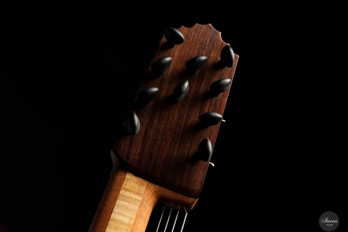 Heikki Rousu - 2025 No. 486 10-string