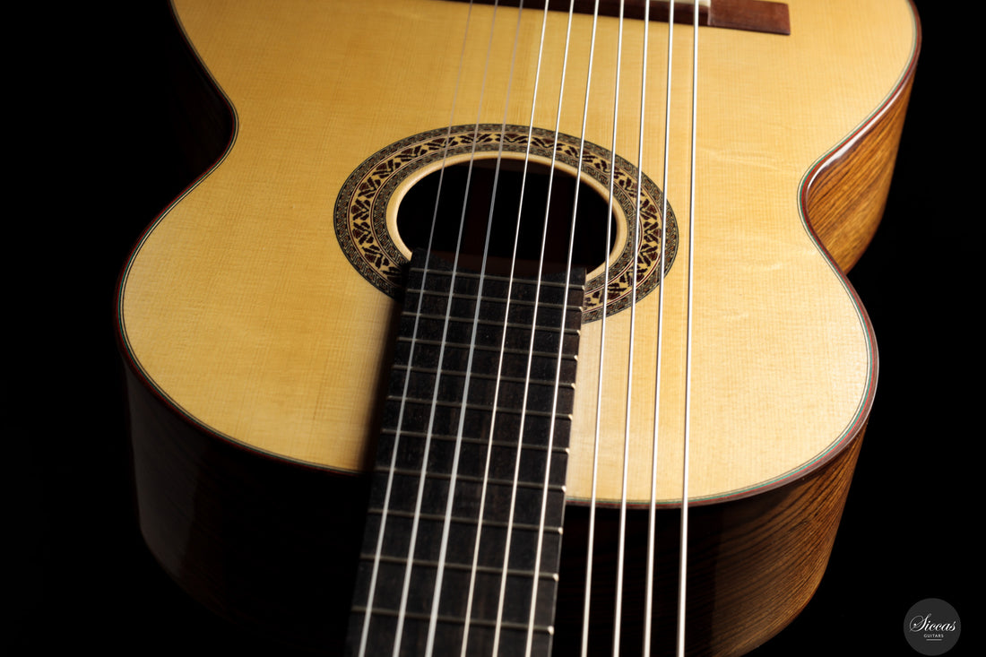 Heikki Rousu - 2025 No. 486 10-string