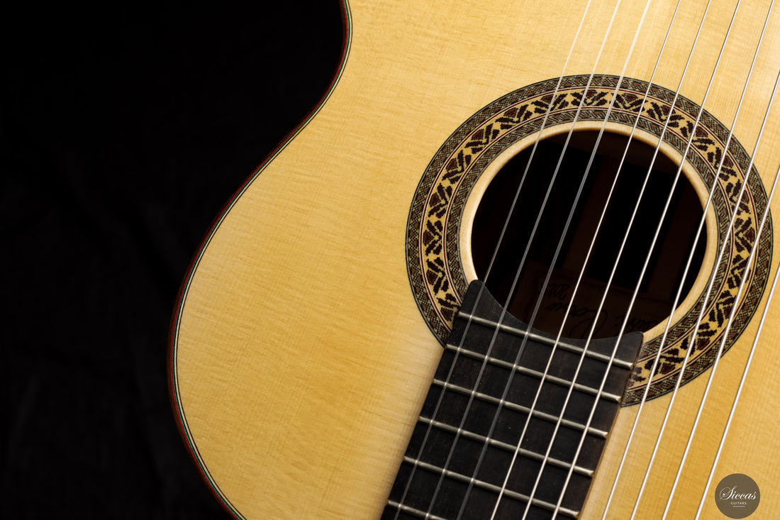 Heikki Rousu - 2025 No. 486 10-string