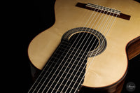 Heikki Rousu - 2022 11-string No. 425