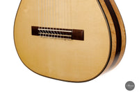 Heikki Rousu - 2023 11-string No. 432