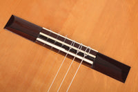 Hermann Hauser ® III - 2010