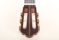Hermann Hauser ® III - 2010