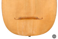 Hermann Hauser® I - Lute 1913