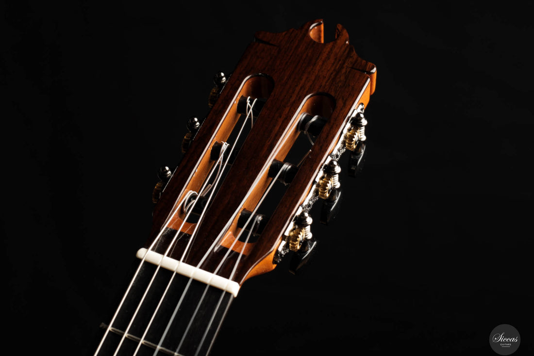 Hermanos Camps - "La Sapienti" Cedar "GL-18"