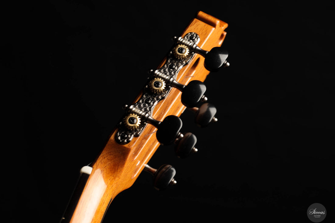 Hermanos Camps - "La Sapienti" Cedar "GL-18"