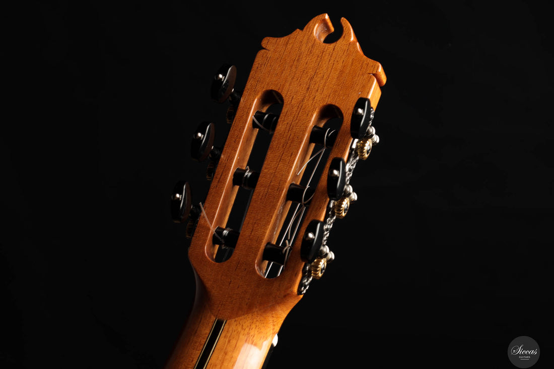 Hermanos Camps - "La Sapienti" Cedar "GL-18"