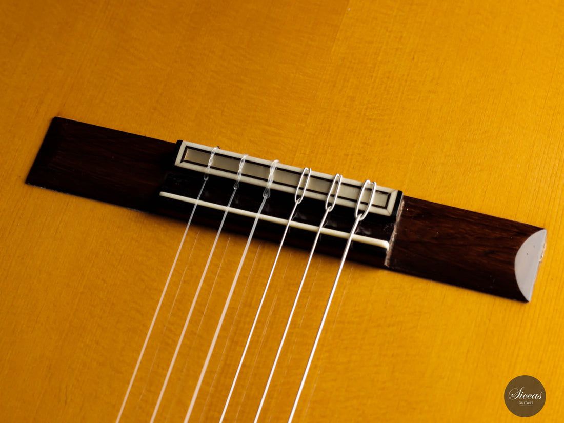 Hernandez y Aguado 1962 No. 229