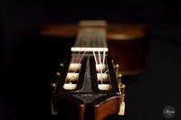 Hernandez y Aguado - 1966 No. 311