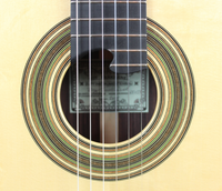 Roy Fankhänel – Special Edition 2015