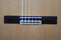 Altamira - N300