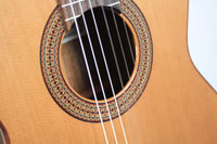 Altamira - N300